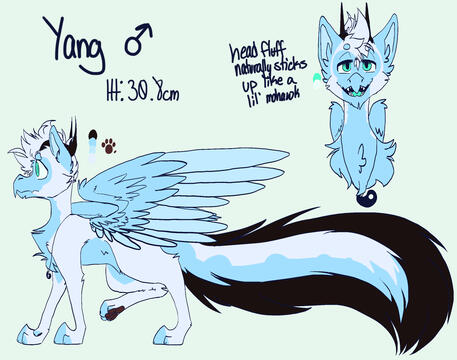 Yang Ref Yang Ref