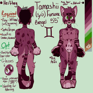 Tamashii Ref